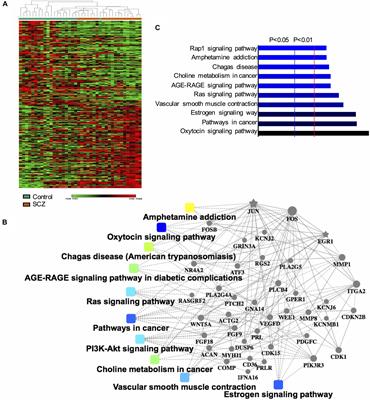 Central and Peripheral Changes in FOS Expression in Schizophrenia Based on Genome-Wide Gene Expression